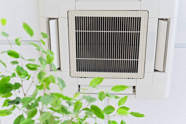 Best Air Duct Sanitizing Services  in USA